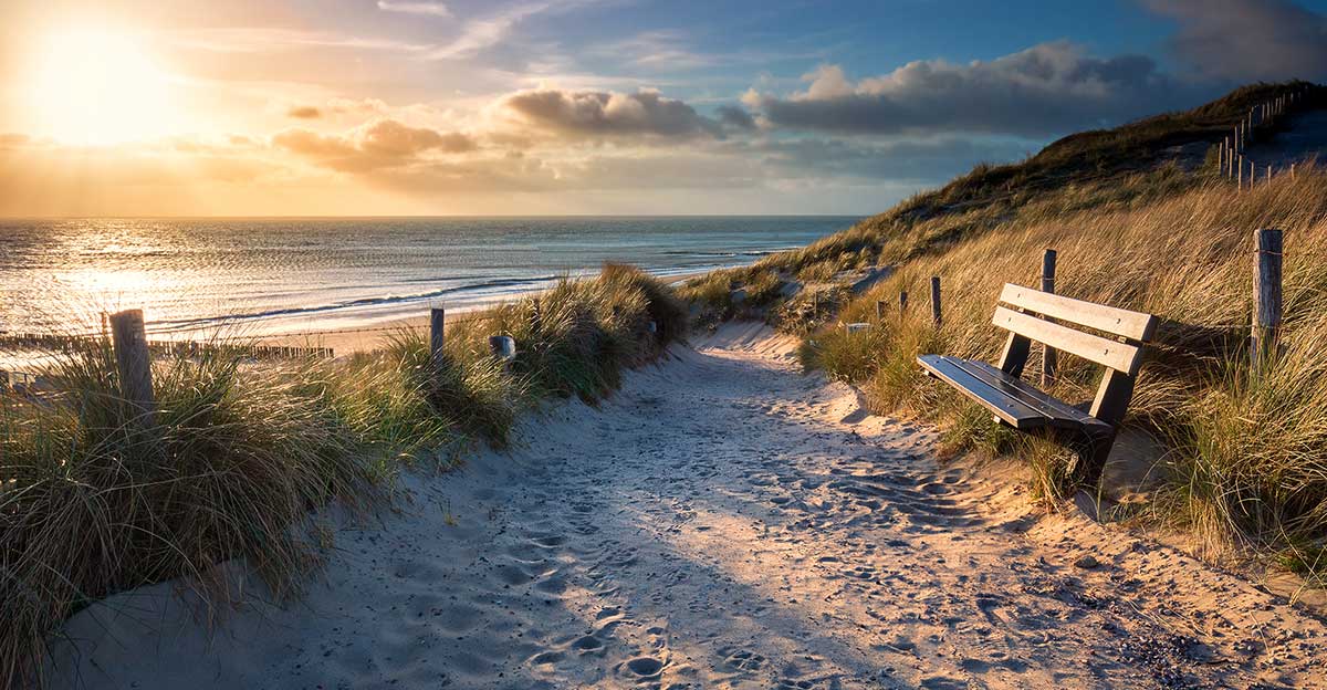 Bild zeigt das Meer, Dünen und eine Bank