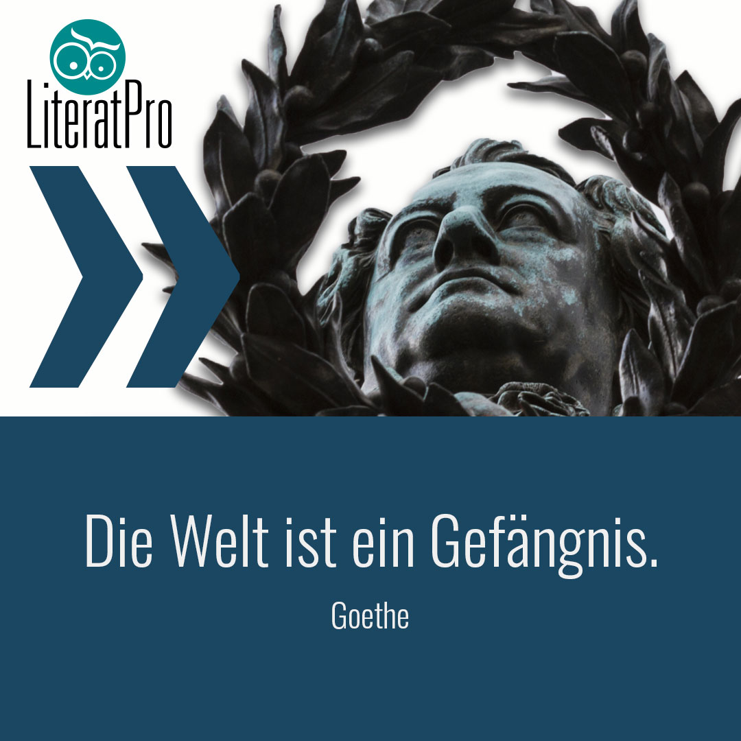 Bild zeigt Zitat von Goethe Die Welt ist ein Gefängnis