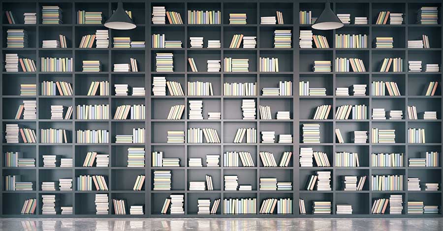 Bild zeigt Sachbücher in Bücherregal