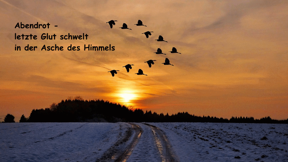 Sonnenuntergang Annelie Kelch Literatpro