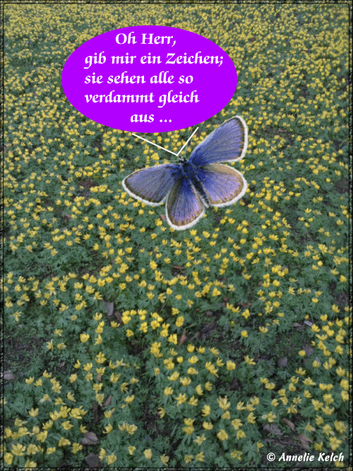Auf der Suche die ersten Frühlingsboten; Cartoon Annelie Kelch