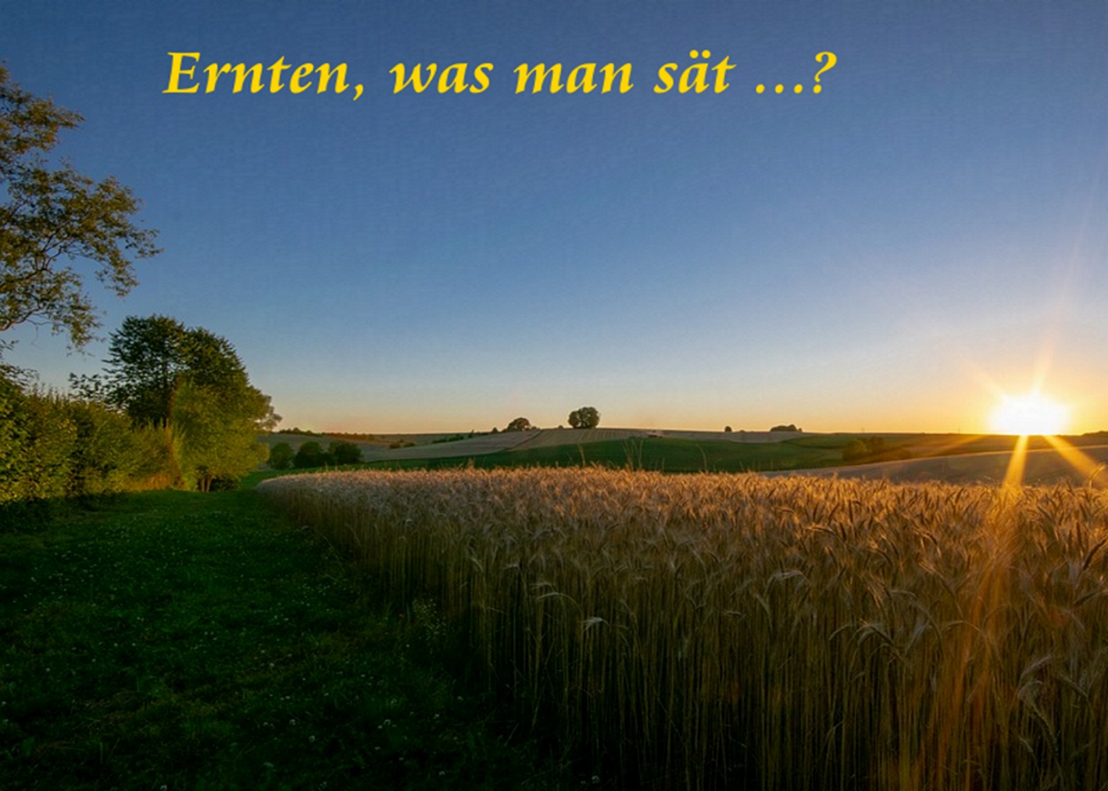 Man Erntet Was Man Sät Zitat