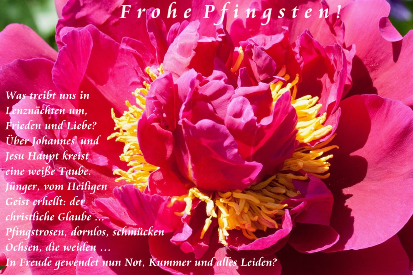 Frohe Pfingsten Blues Annelie Kelch Literatpro