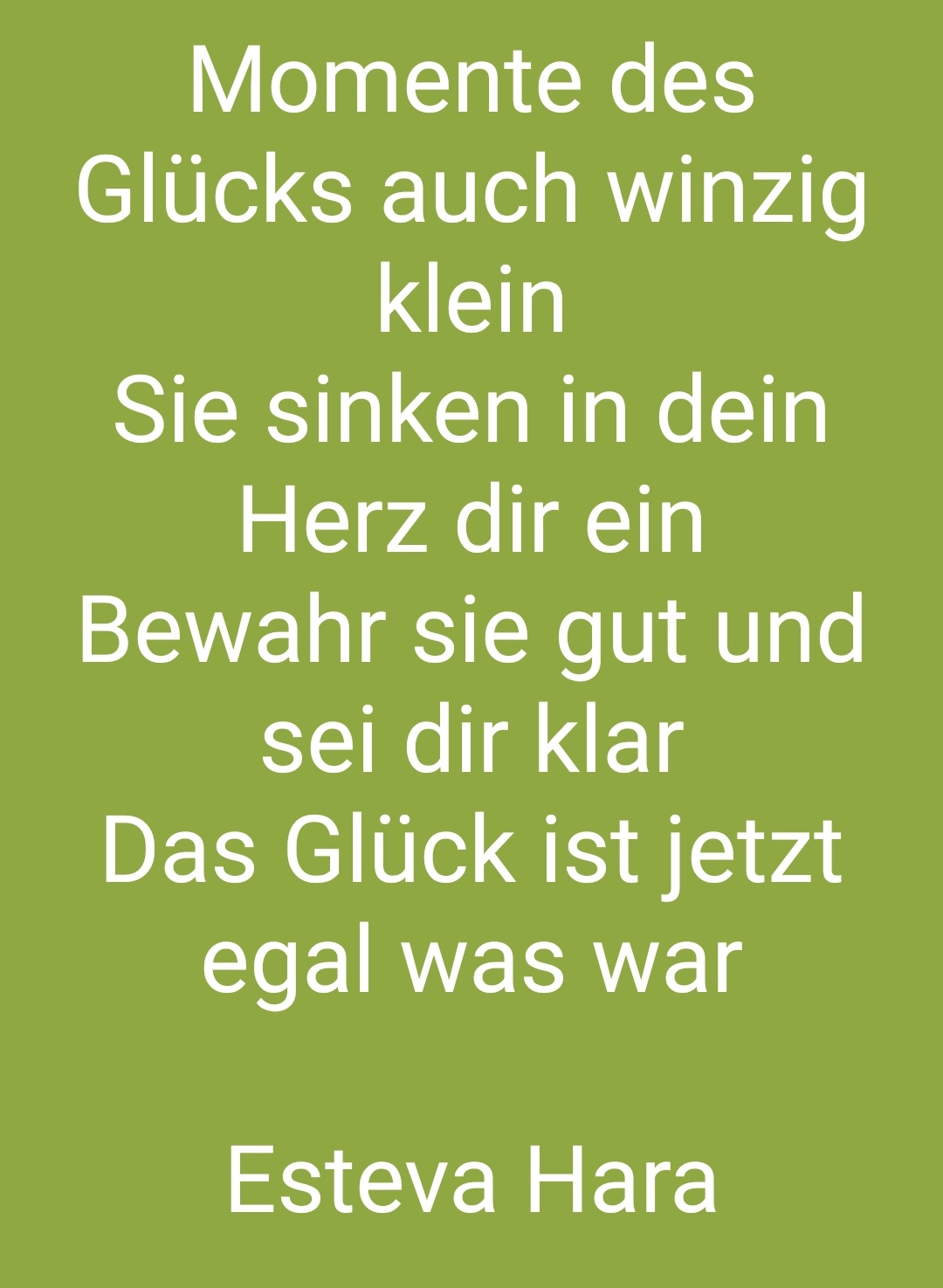 Momente des Glücks Esteva Hara LiteratPro