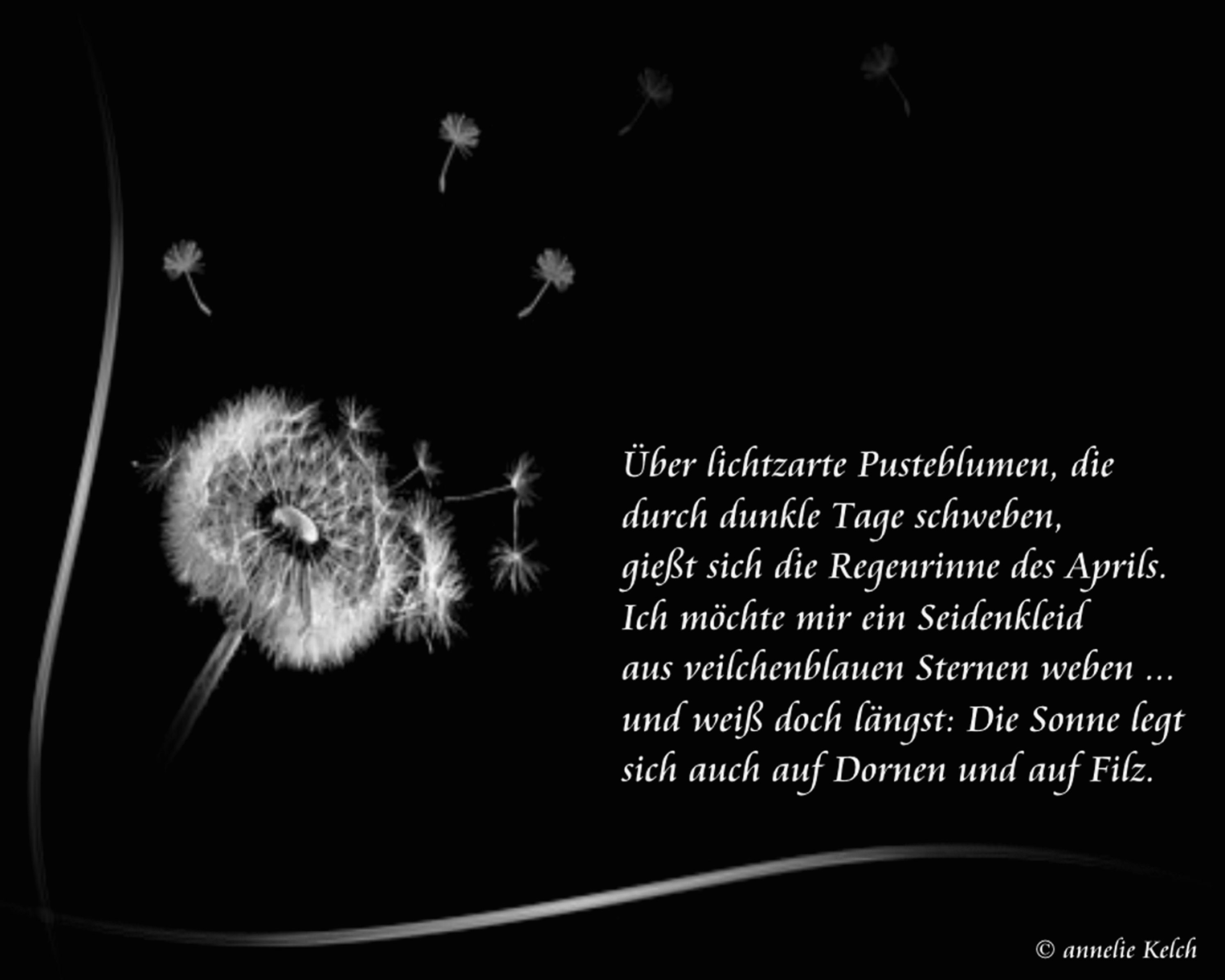 Get Gedicht pusteblume wuensche For Free Gedicht Pusteblume Wuensche