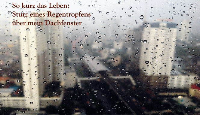 Regentropfen Annelie Kelch Literatpro