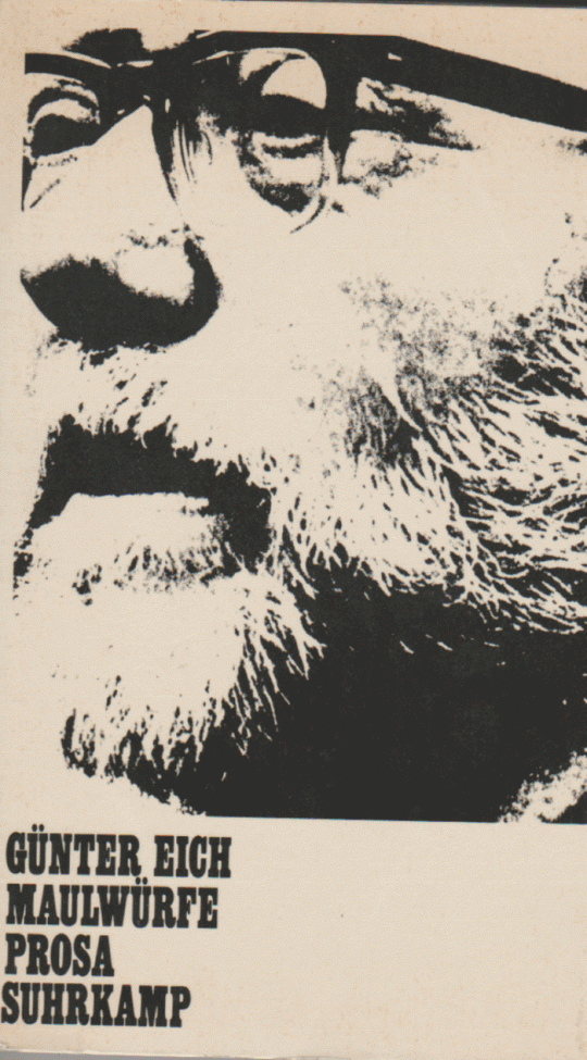 Gunter eich diether h haenicke essay image