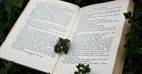 Aufgeschlagenes Buch im Freien, umgeben von grünen Pflanzen