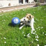 Bild von nabatea buchler Bild von nabatea buchler