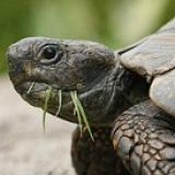 Bild von Chillkroethe Bild von Chillkroethe