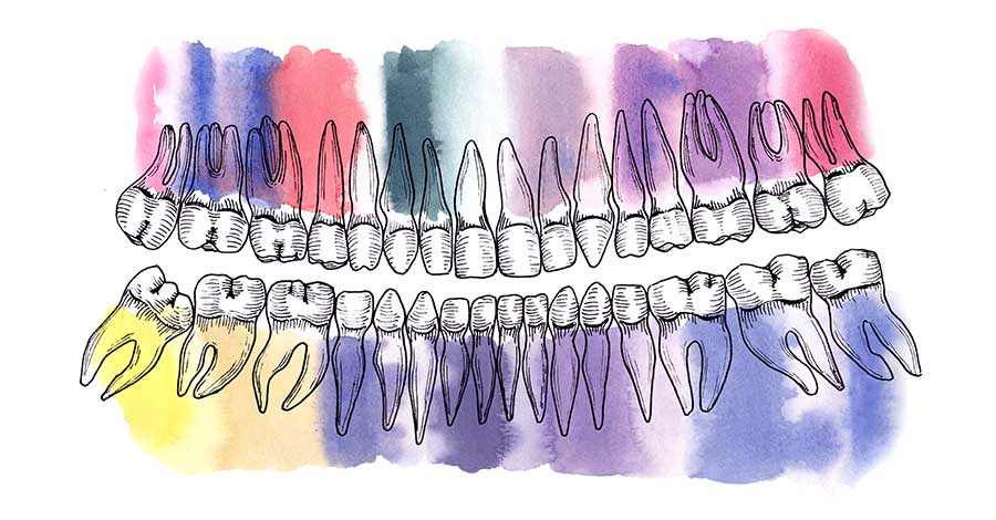 Bild zeigt eine kunstvolle Zeichnung von Zähnen